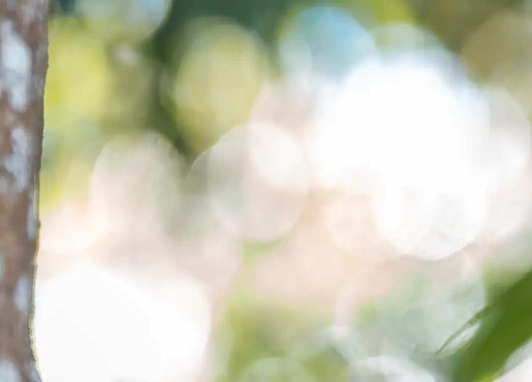 Uncle Robot智能钣喷中心现代化设施与先进机器人技术